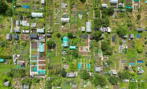 Bhupani Faridabad plot for future investment