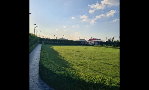 Organic farming land near Vrindavan Uttar Pradesh