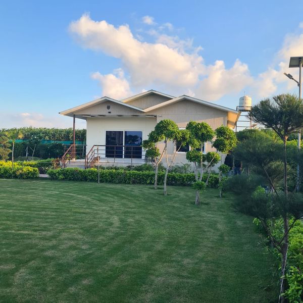 1 bigha farmhouse plot at Virasat Farms, Bela Khurd, Tech Zone, Greater Noida