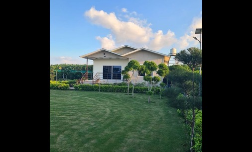 Green farm land near Chhata Goverdhan Road Mathura